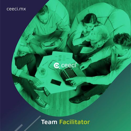 CEECI :: Expertos En Educación En TI